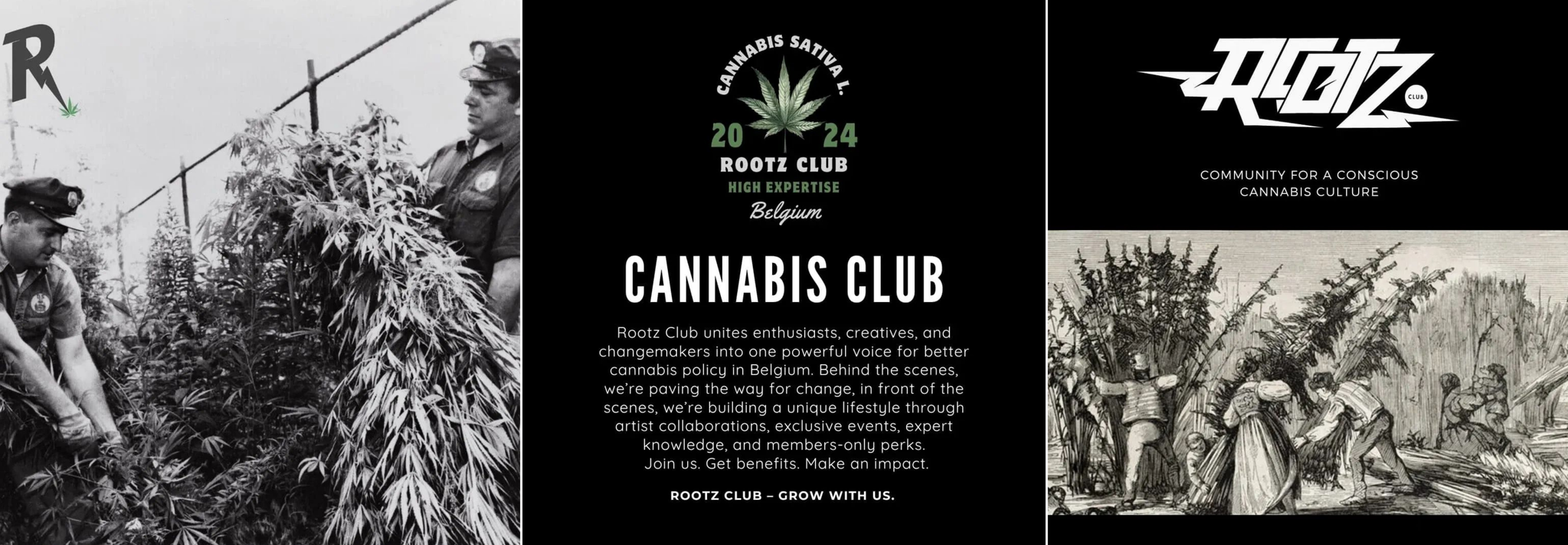 Rootz Journal - Ontdek onze verhalen, events & community