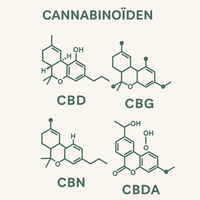 De wereld van cannabinoïden: veel meer dan alleen THC &CBD
