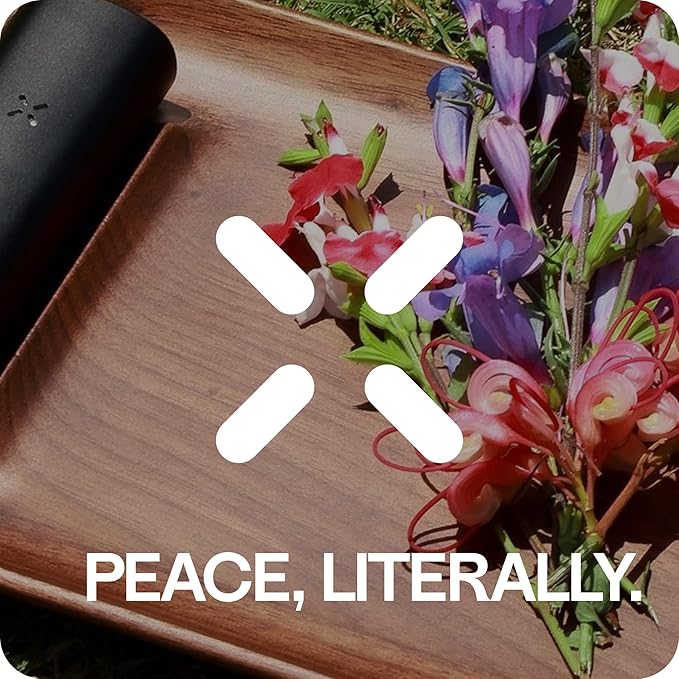 PAX Tray Walnoot | Rust en orde in je voorbereidingsmoment